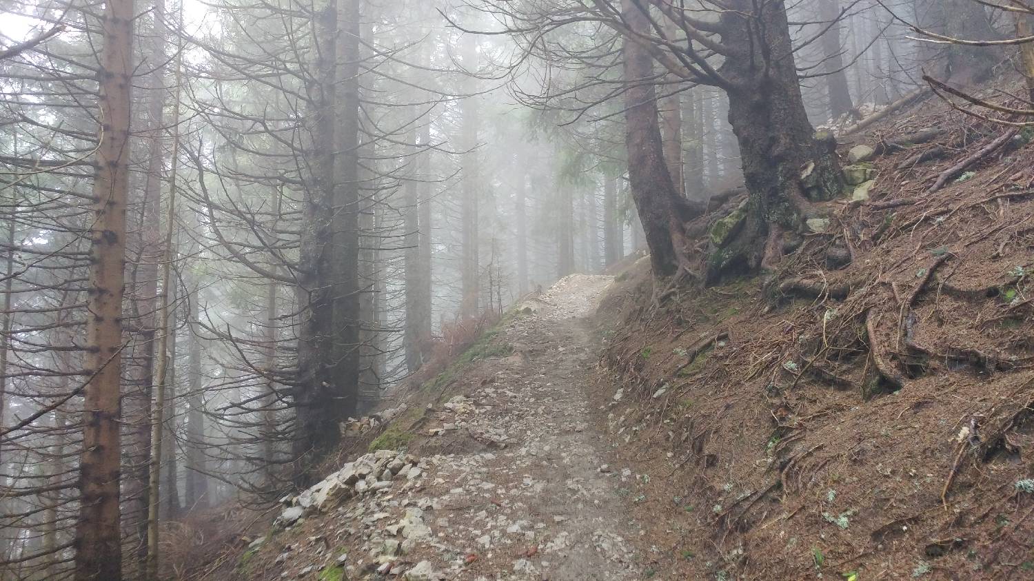 Dom v Dragi - Veliki vrh (Begunjščica) slika 30