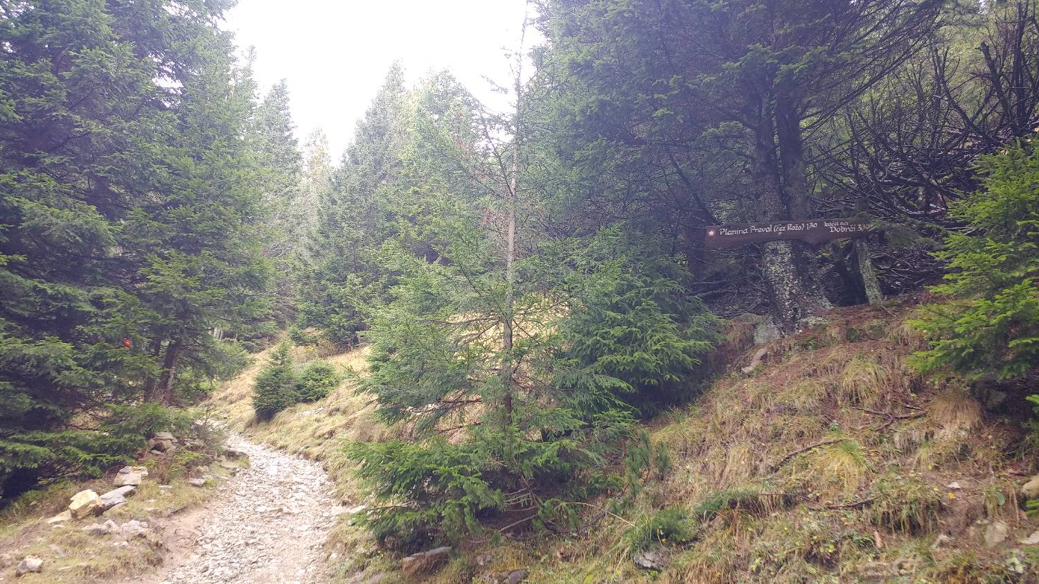 Dom v Dragi - Veliki vrh (Begunjščica) slika 32