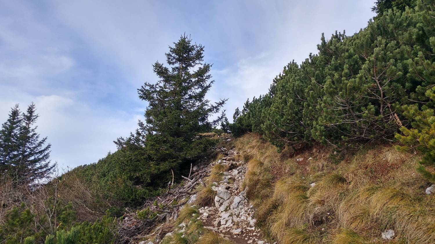Dom v Dragi - Veliki vrh (Begunjščica) slika 39