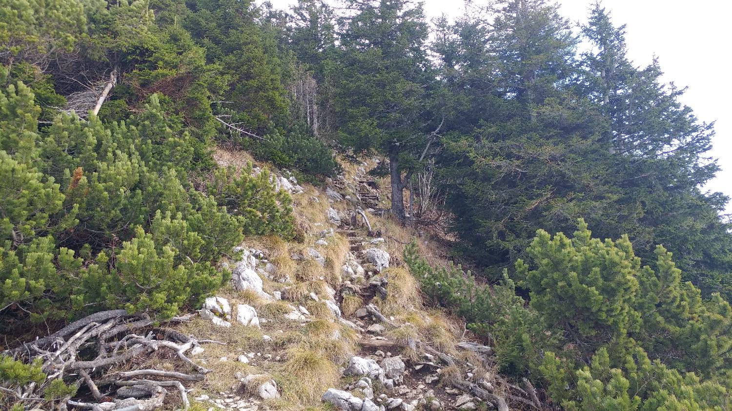 Dom v Dragi - Veliki vrh (Begunjščica) slika 40