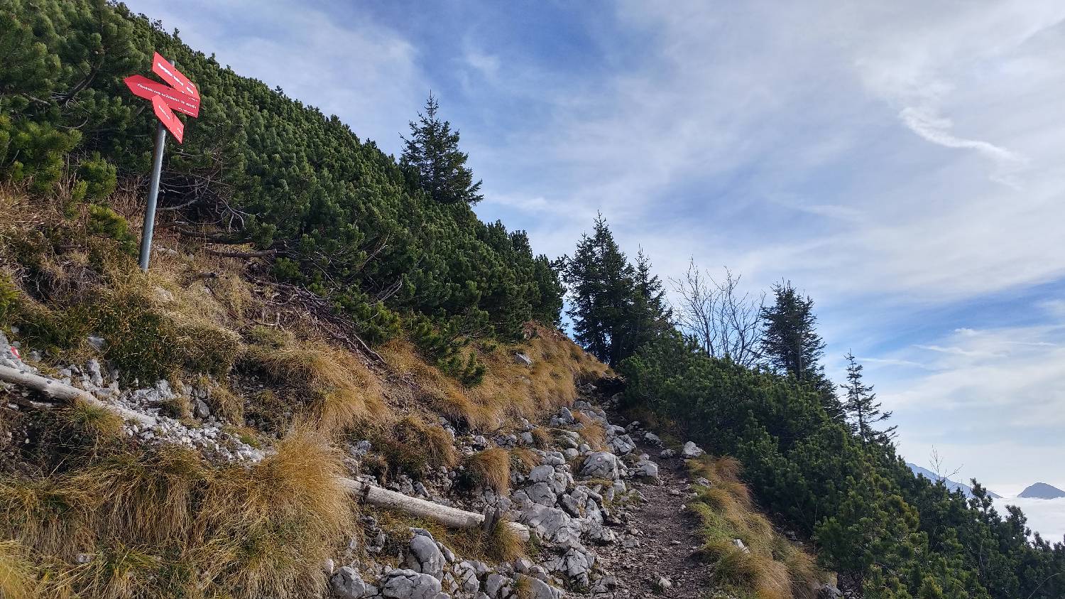 Dom v Dragi - Veliki vrh (Begunjščica) slika 43