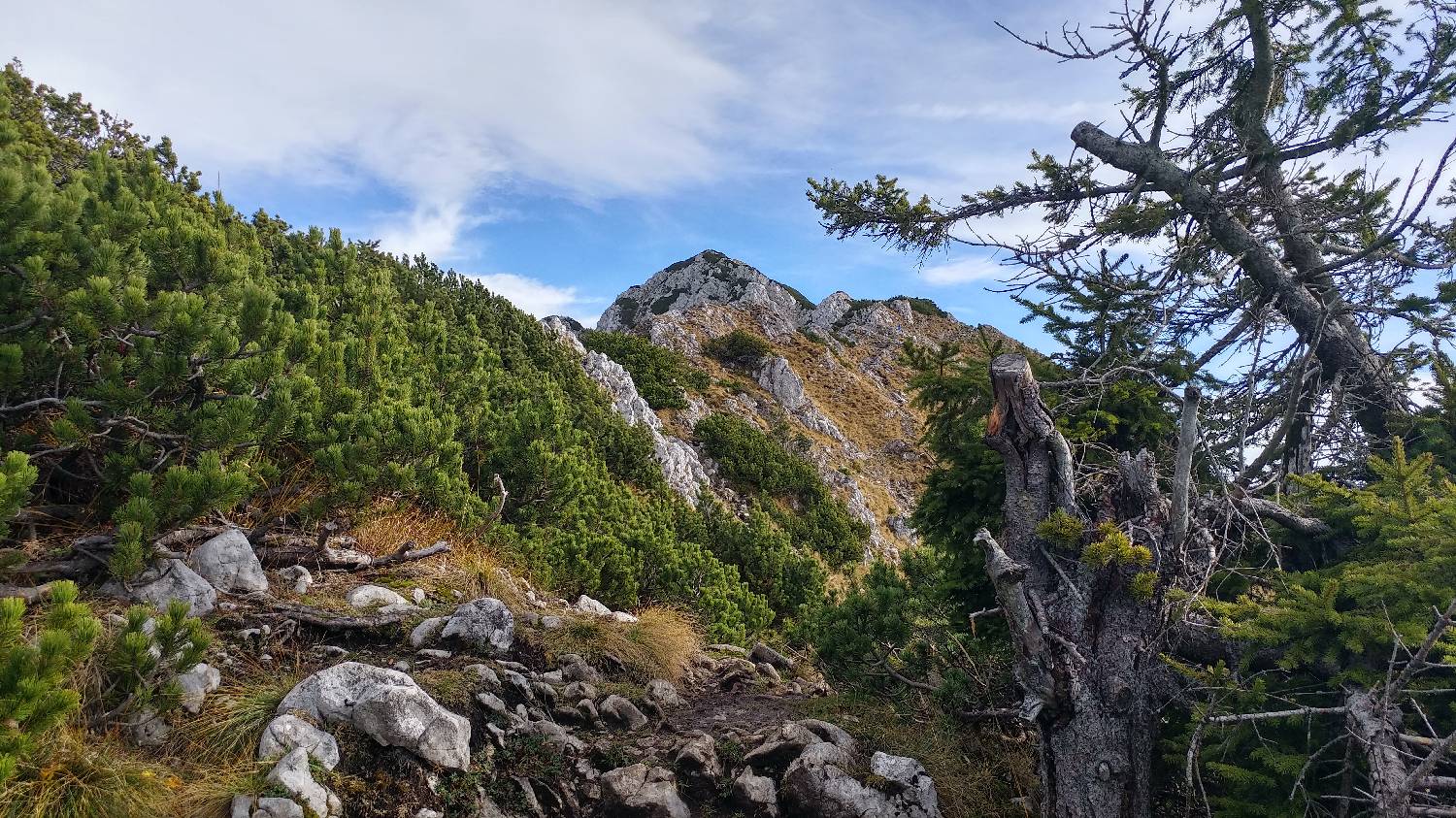 Dom v Dragi - Veliki vrh (Begunjščica) slika 44