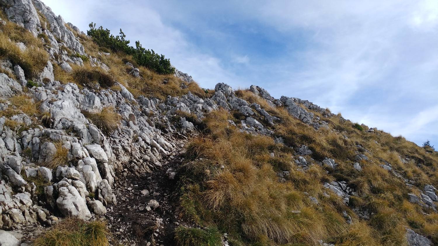 Dom v Dragi - Veliki vrh (Begunjščica) slika 45