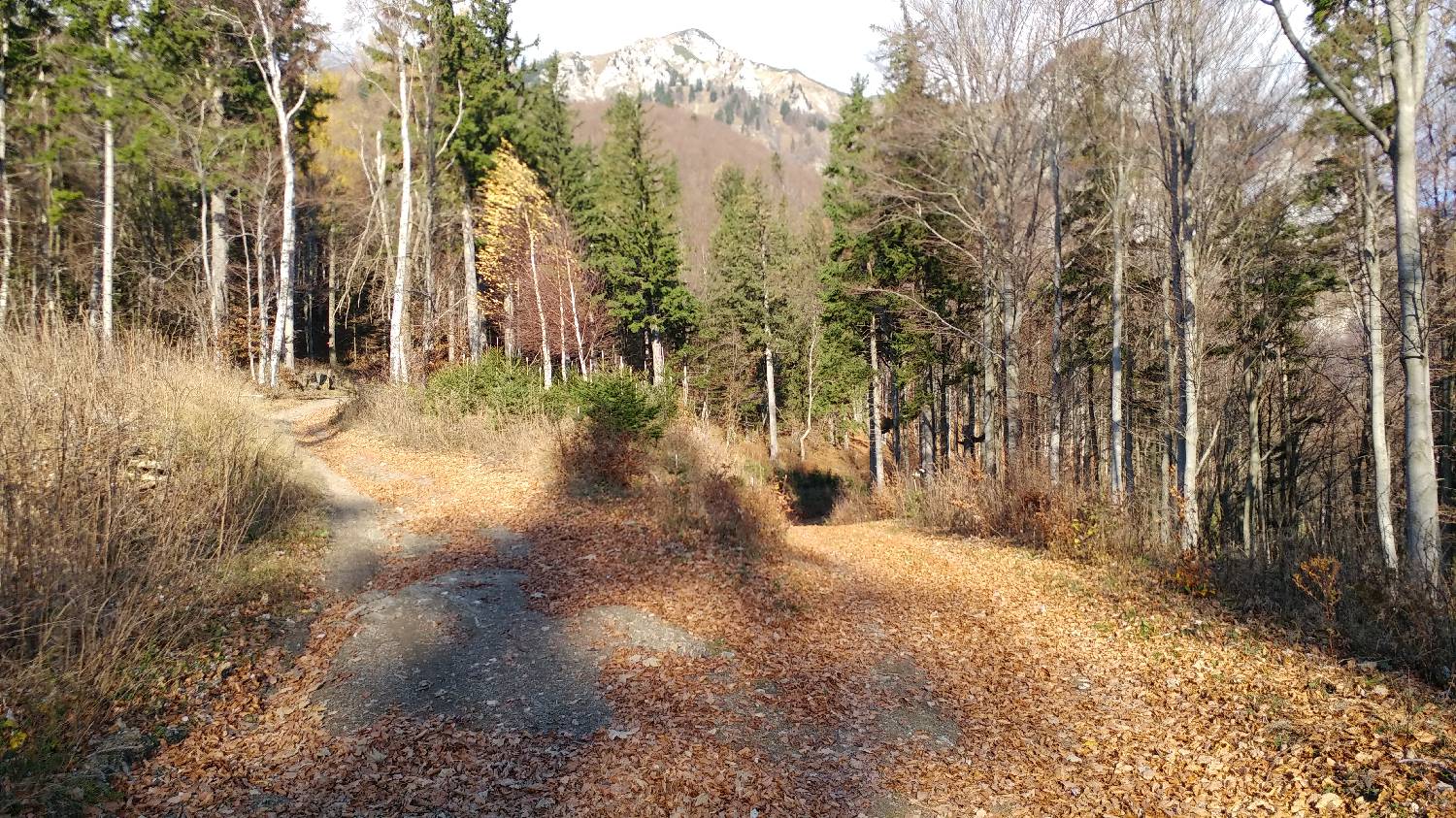 Podbrdo - Črna prst slika 25