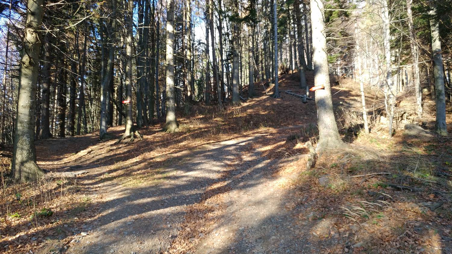 Podbrdo - Črna prst slika 26
