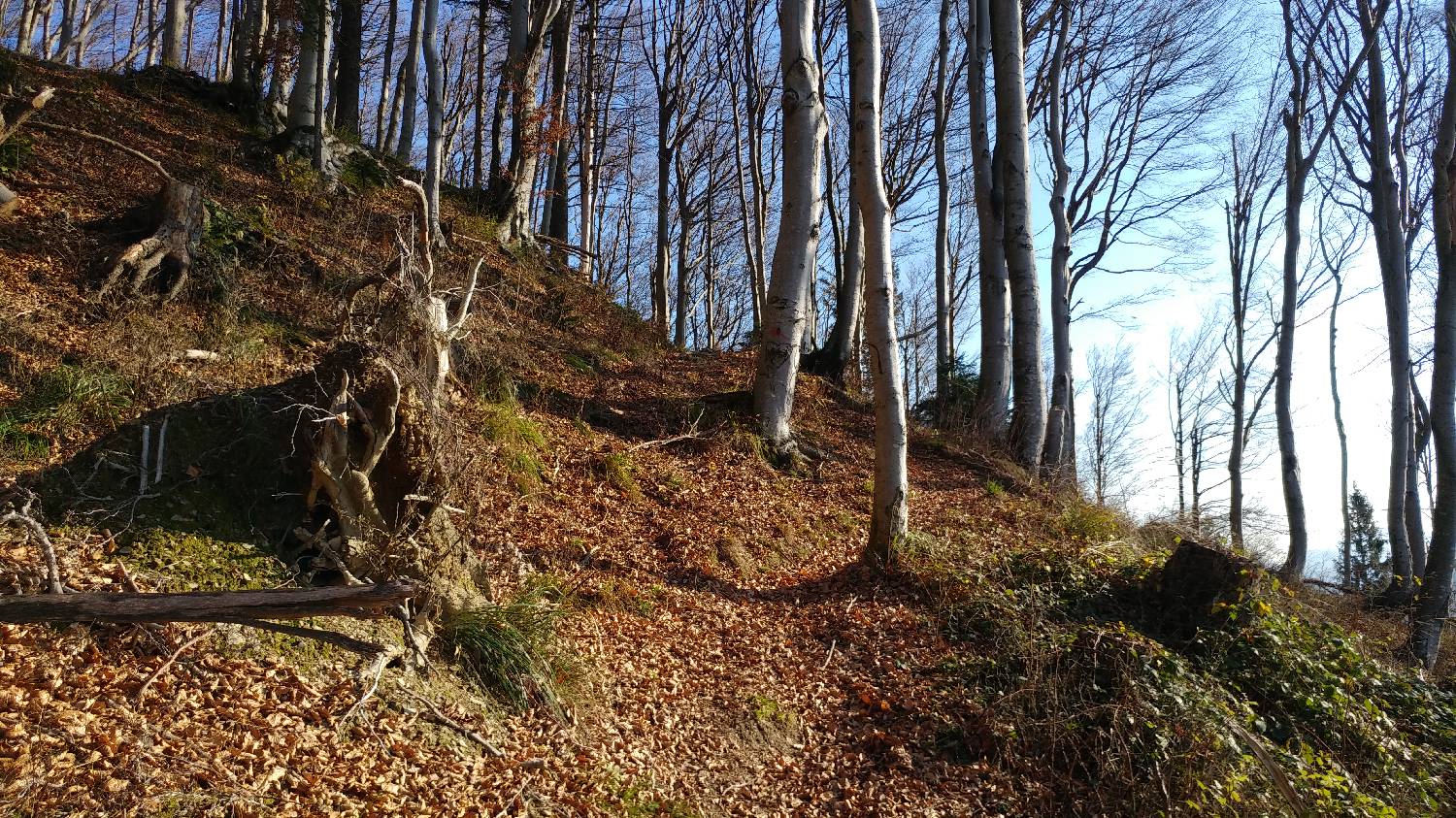 Podbrdo - Črna prst slika 27