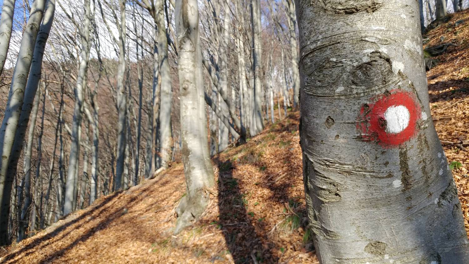 Podbrdo - Črna prst slika 28