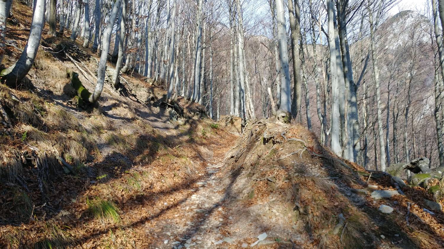 Podbrdo - Črna prst slika 29