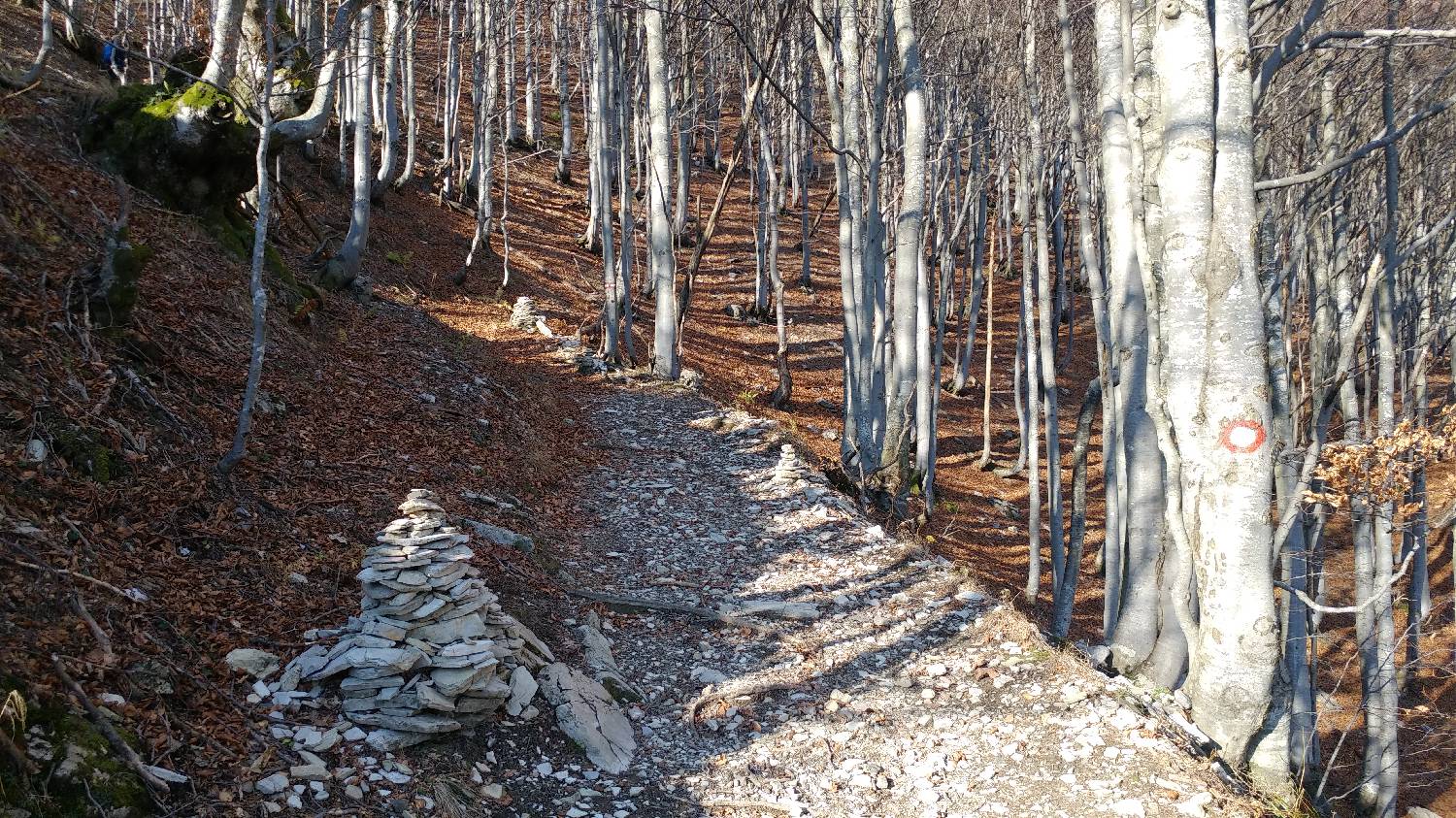 Podbrdo - Črna prst slika 30