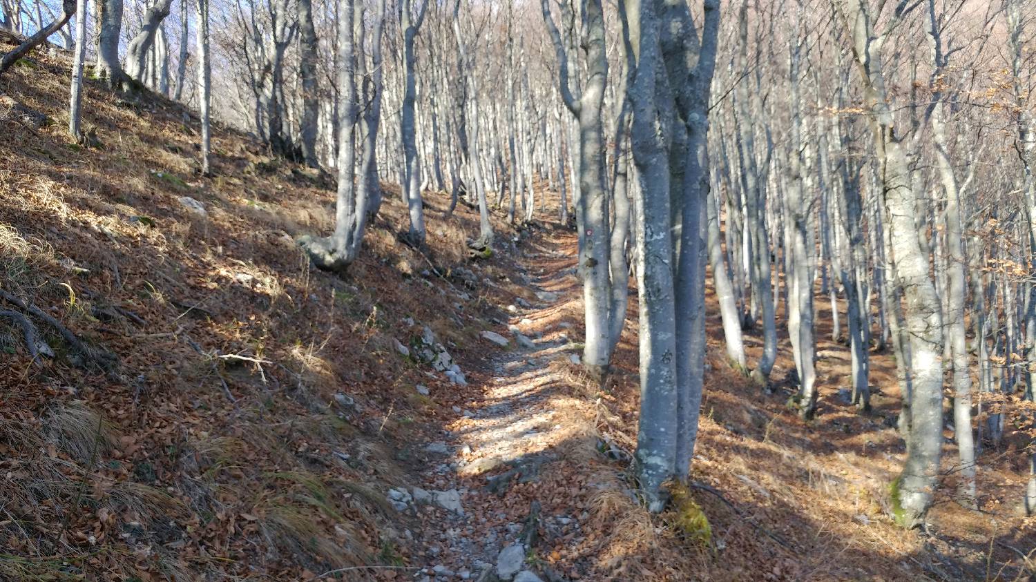 Podbrdo - Črna prst slika 31
