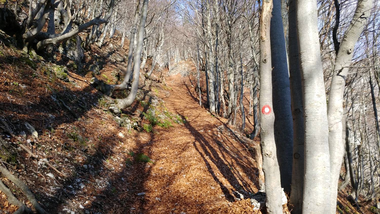Podbrdo - Črna prst slika 32