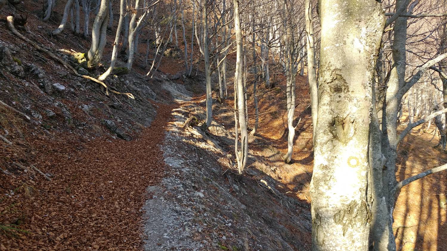 Podbrdo - Črna prst slika 33