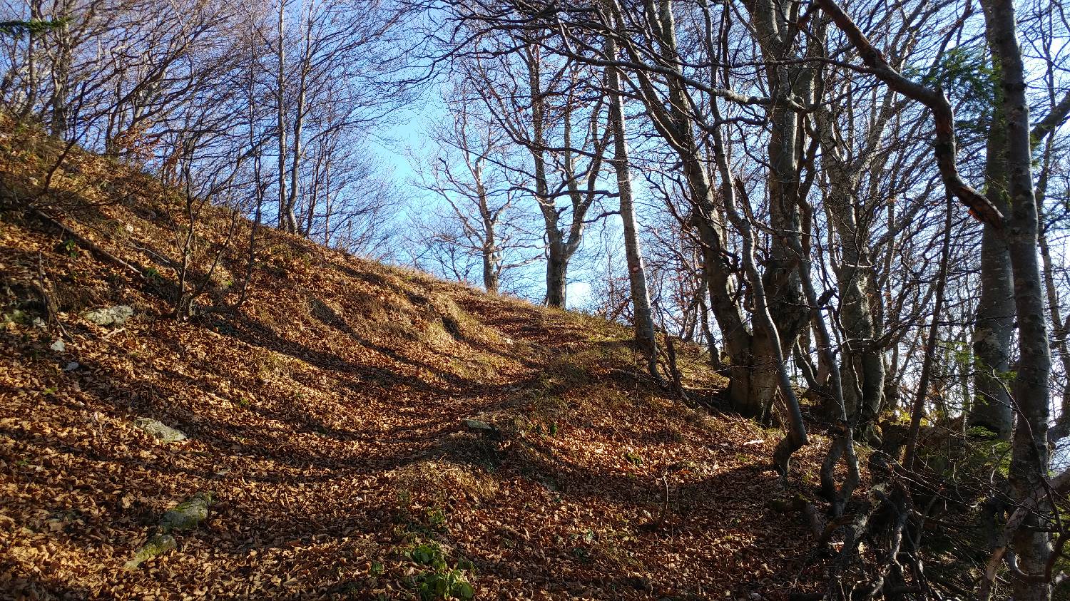Podbrdo - Črna prst slika 35