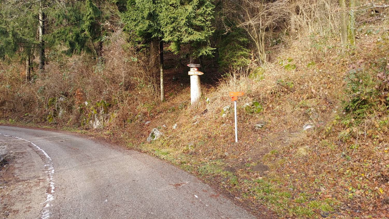 Avsa - Srednji vrh (Matajur) slika 2