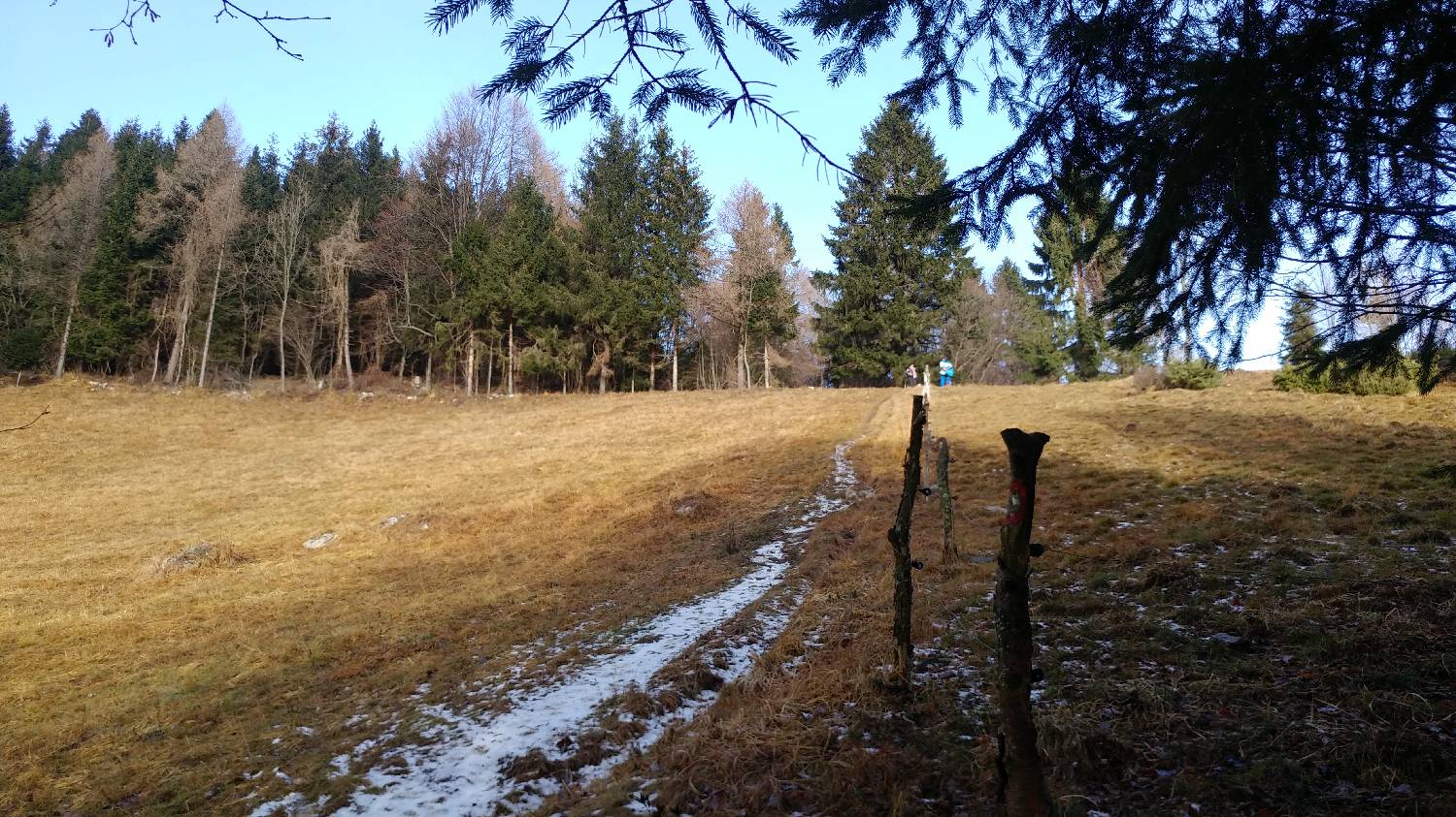 Avsa - Srednji vrh (Matajur) slika 4