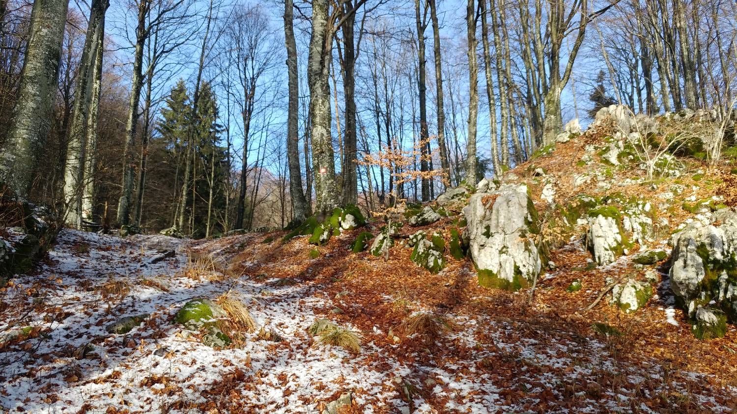 Avsa - Srednji vrh (Matajur) slika 7