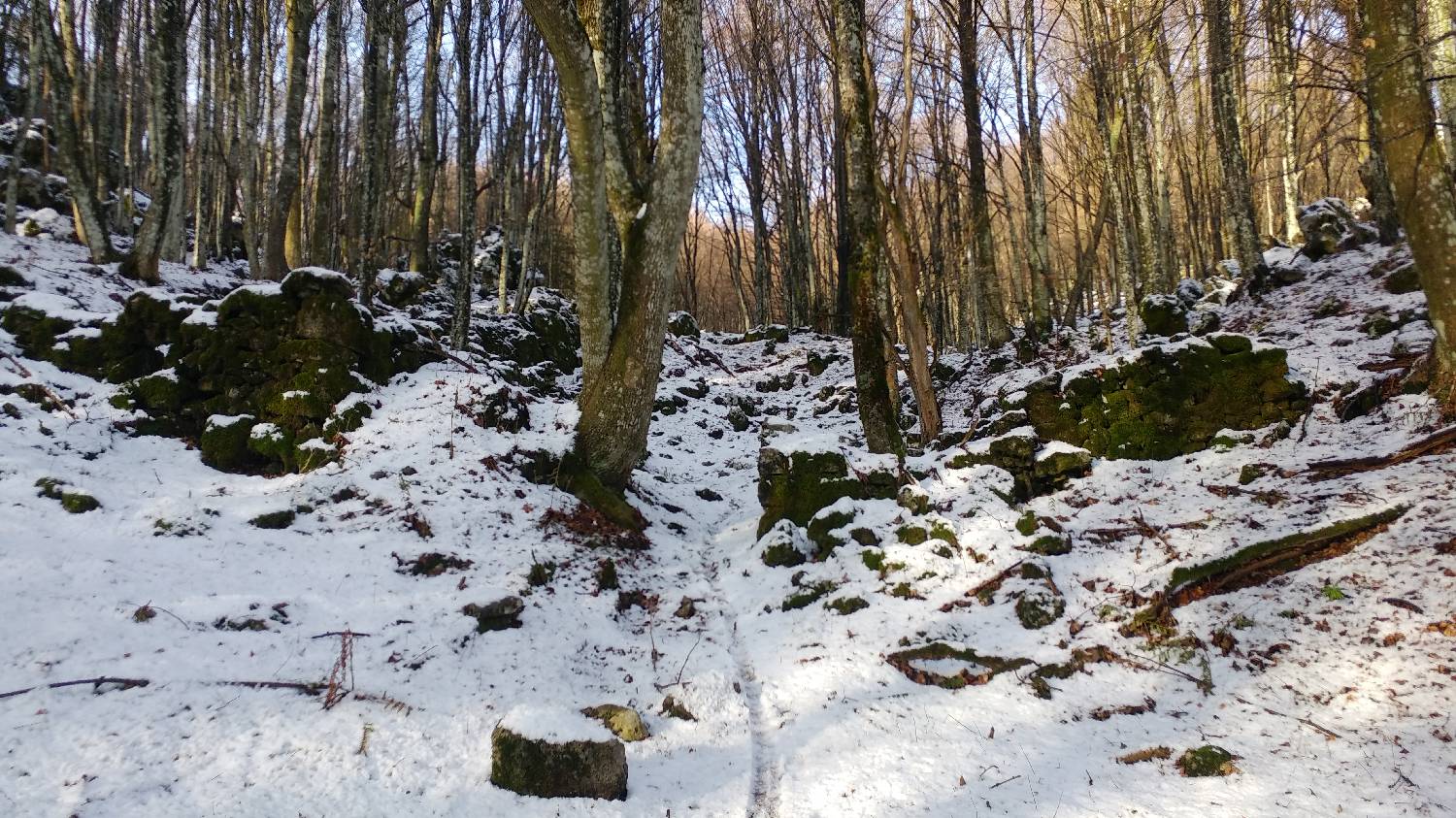 Avsa - Srednji vrh (Matajur) slika 8