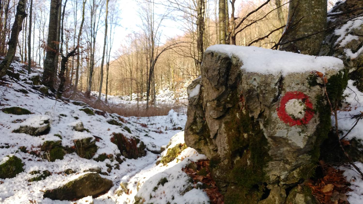 Avsa - Srednji vrh (Matajur) slika 11