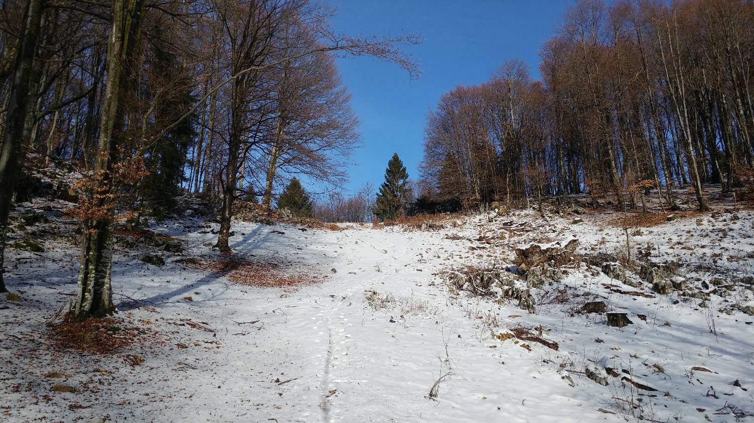 Avsa - Srednji vrh (Matajur) slika 12