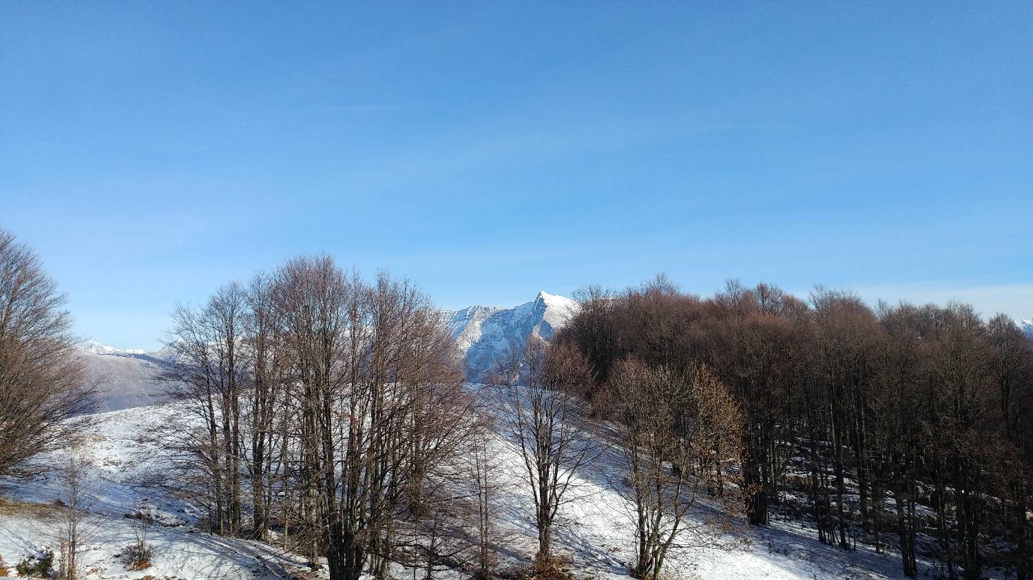 Avsa - Srednji vrh (Matajur) slika 13