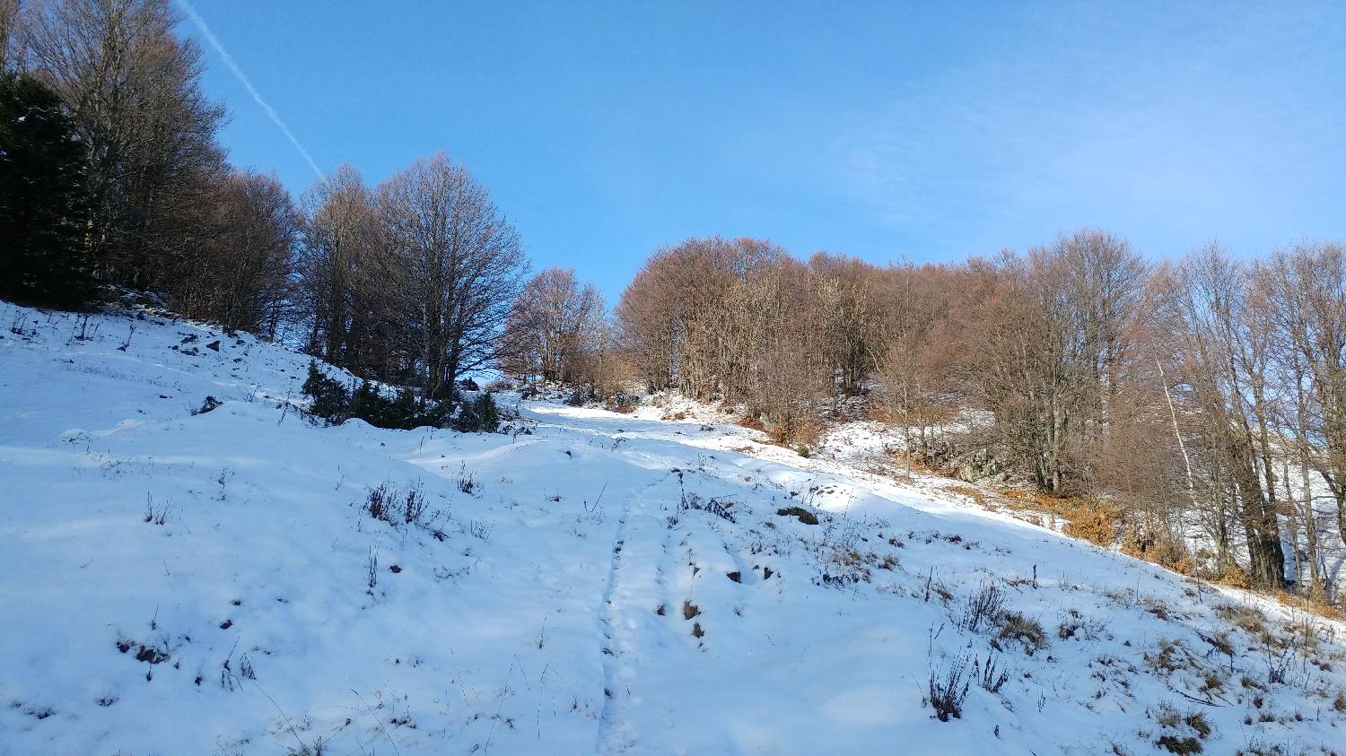 Avsa - Srednji vrh (Matajur) slika 14