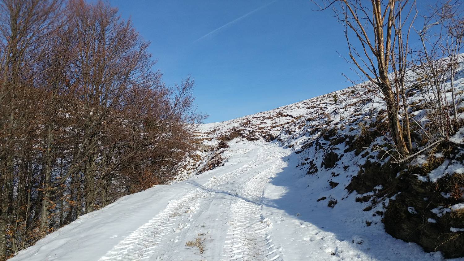 Avsa - Srednji vrh (Matajur) slika 17