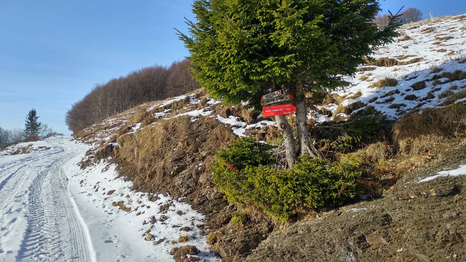 Avsa - Srednji vrh (Matajur) slika 18