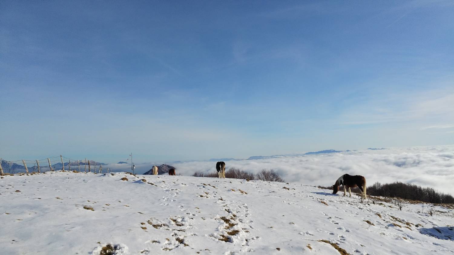Avsa - Srednji vrh (Matajur) slika 25