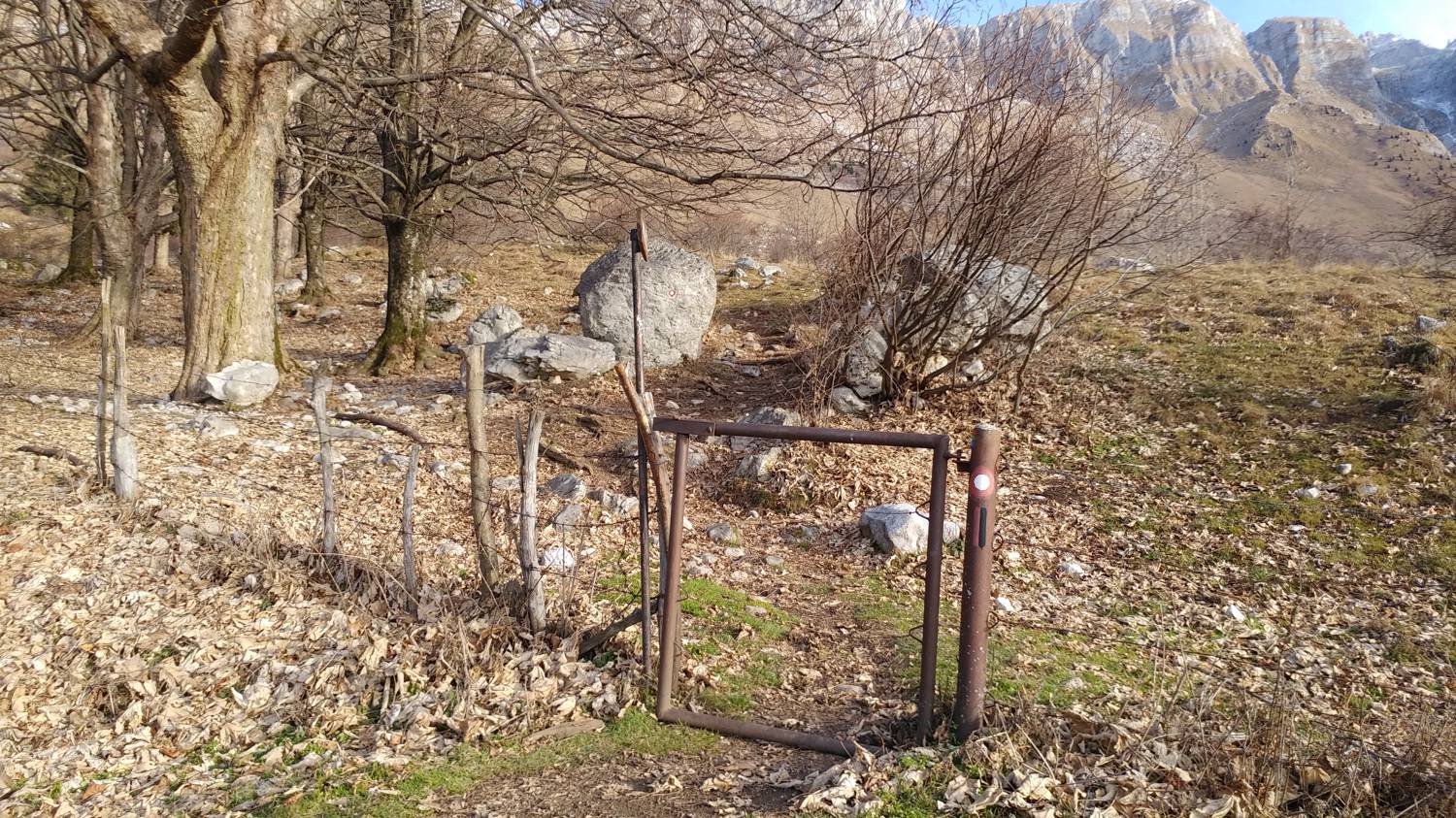 Planina Kuhinja - Batognica slika 6