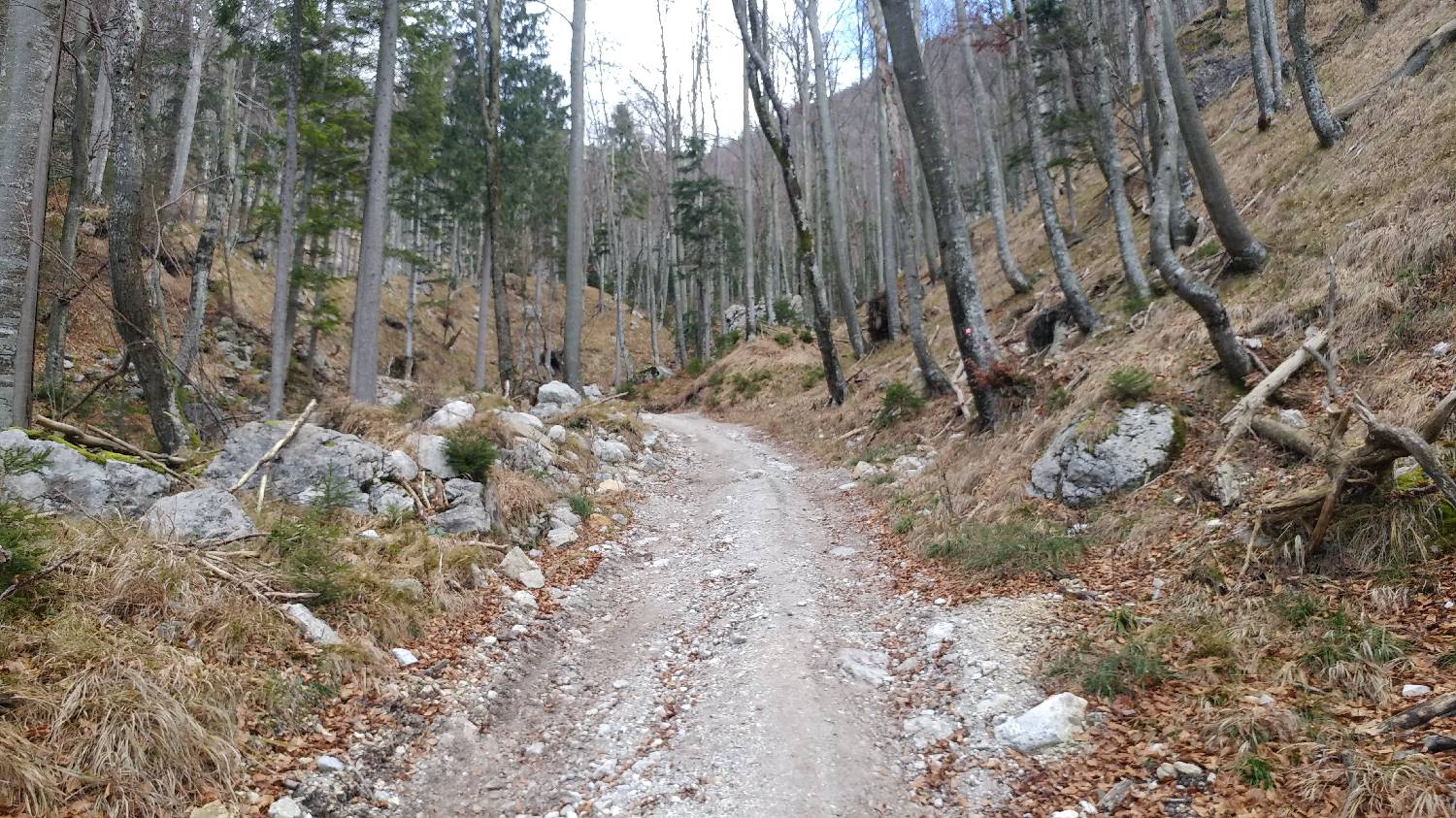Laško - Planinski dom na Kališču slika 4