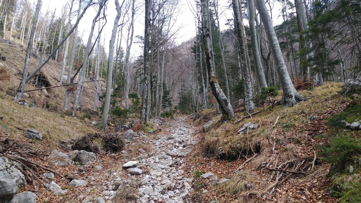 Laško - Planinski dom na Kališču slika 6