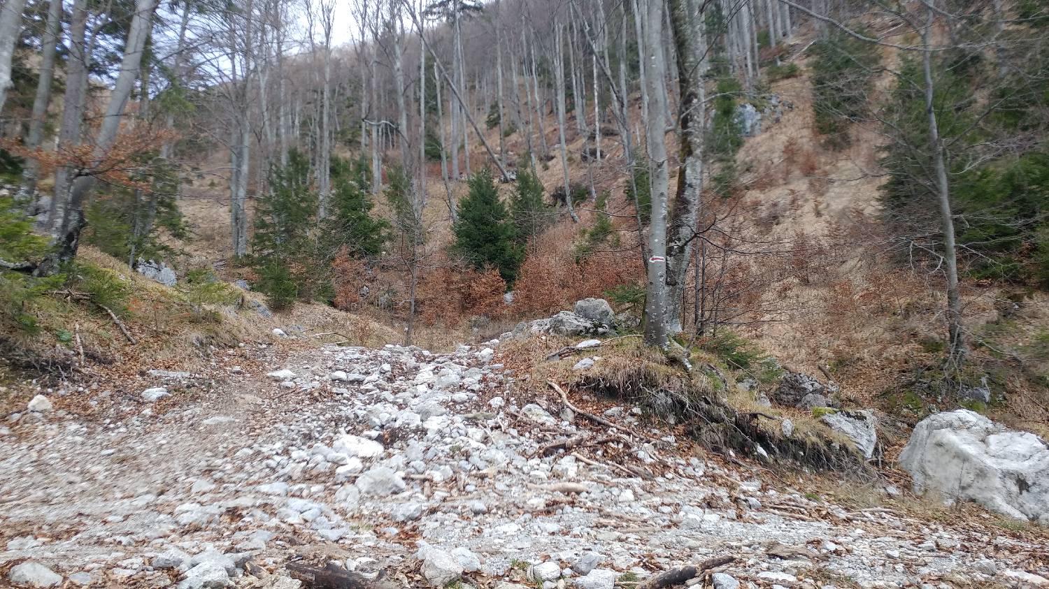 Laško - Planinski dom na Kališču slika 7