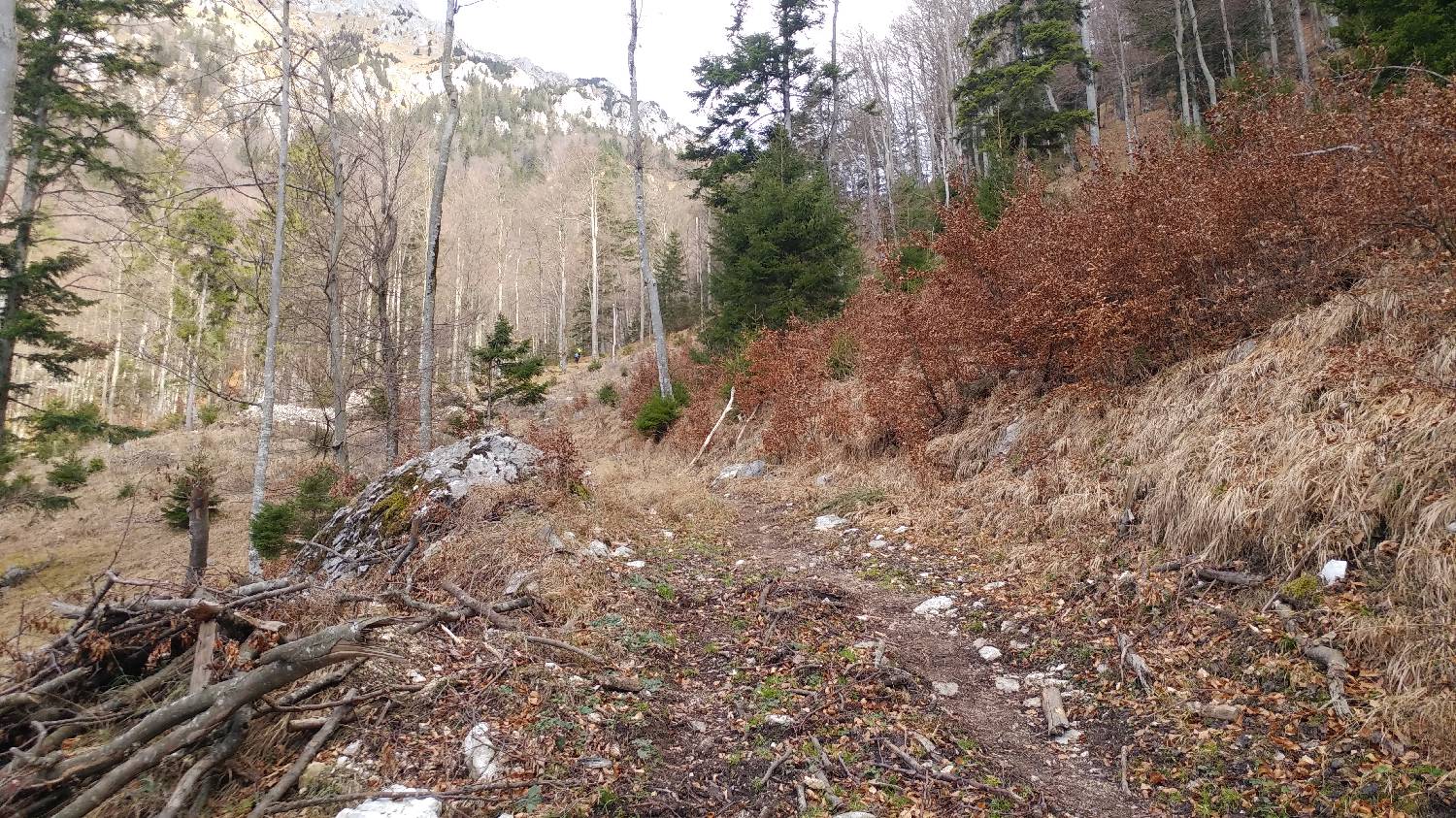 Laško - Planinski dom na Kališču slika 8