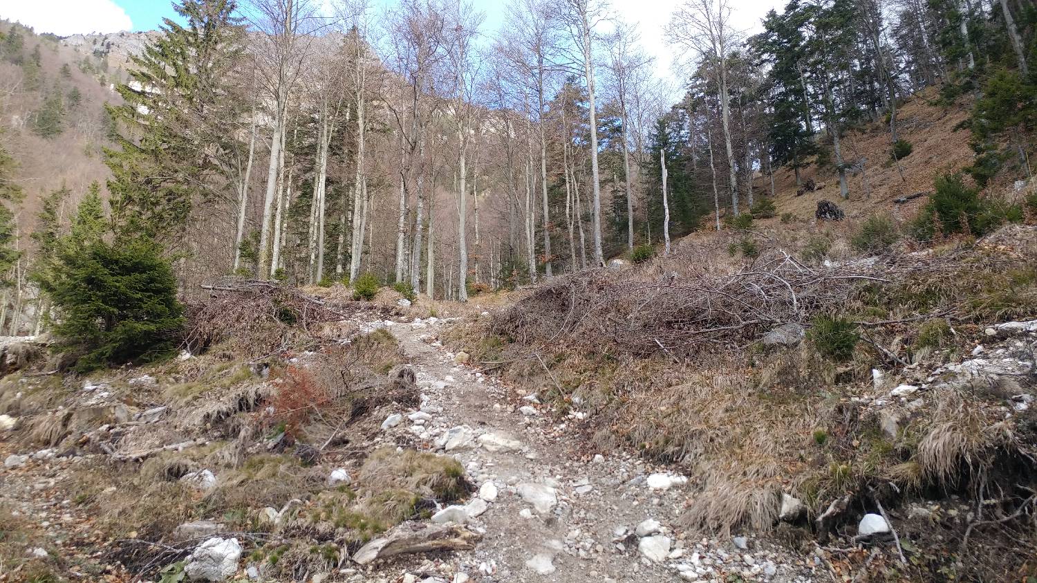 Laško - Planinski dom na Kališču slika 9