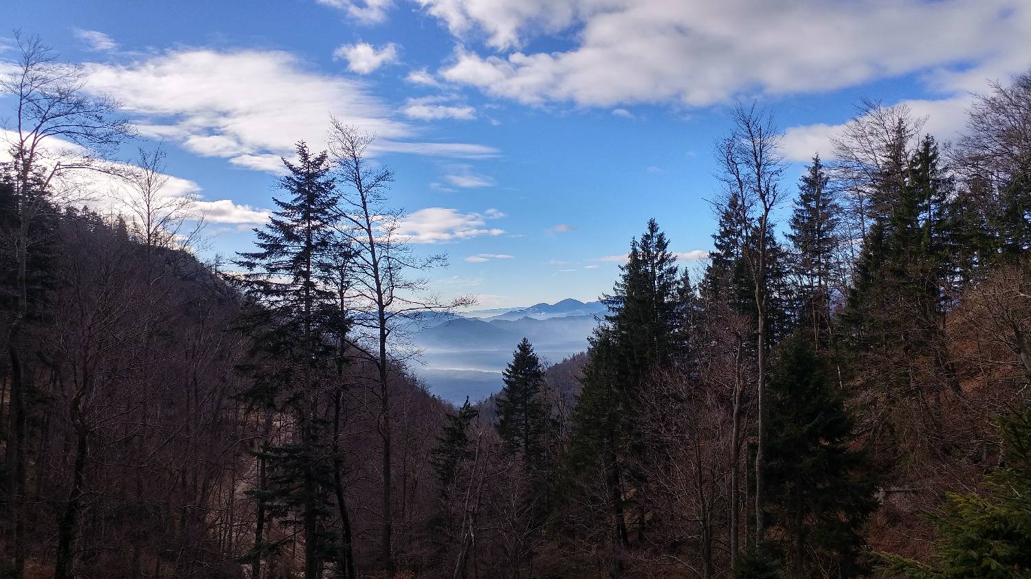 Laško - Planinski dom na Kališču slika 10