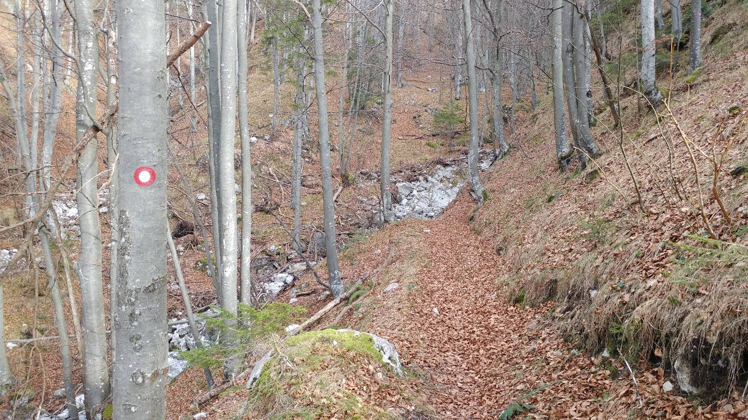 Laško - Planinski dom na Kališču slika 11