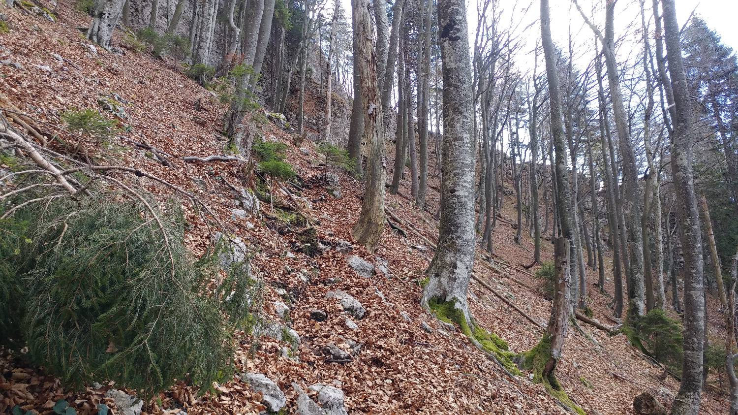 Laško - Planinski dom na Kališču slika 13