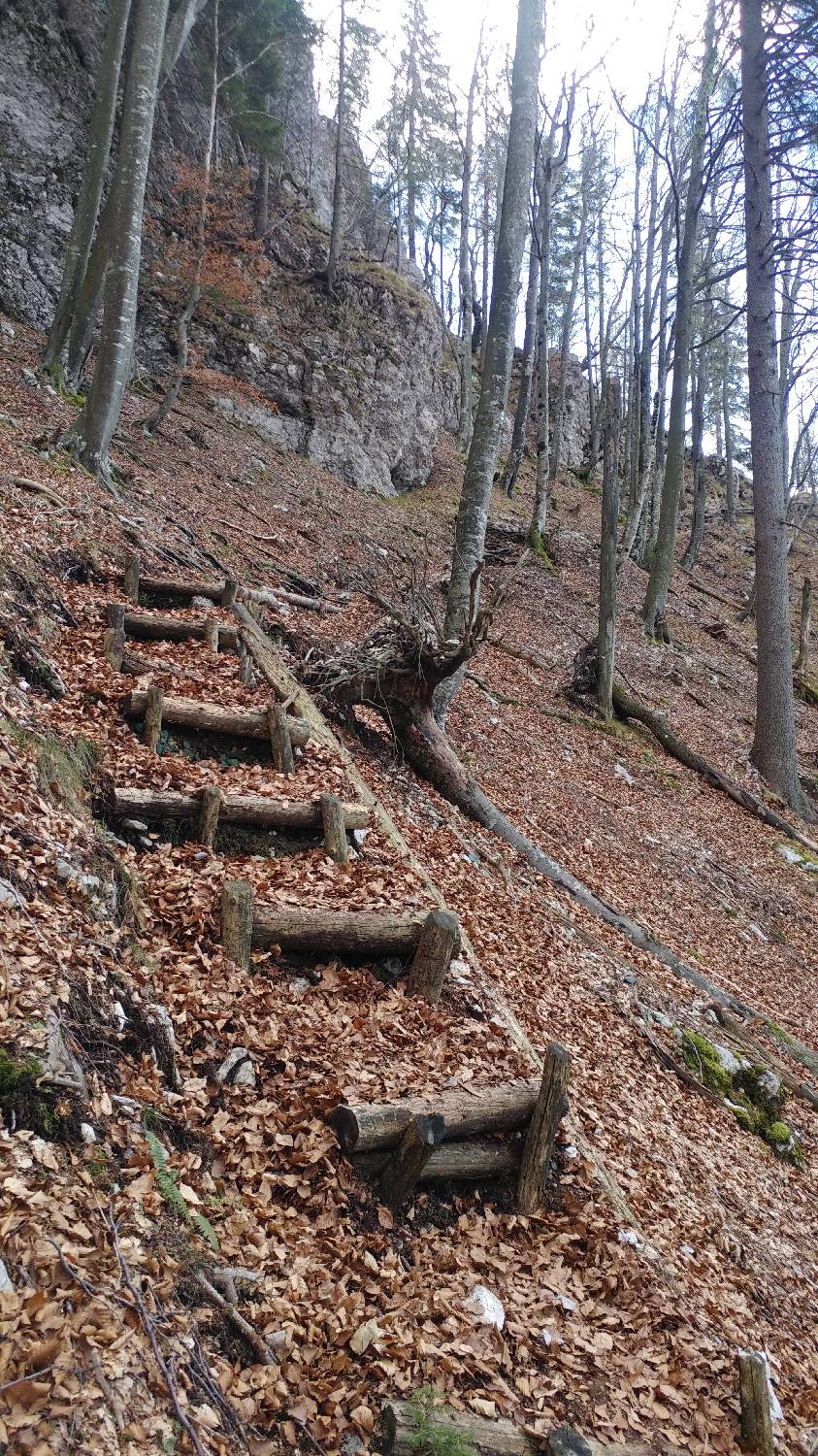Laško - Planinski dom na Kališču slika 14
