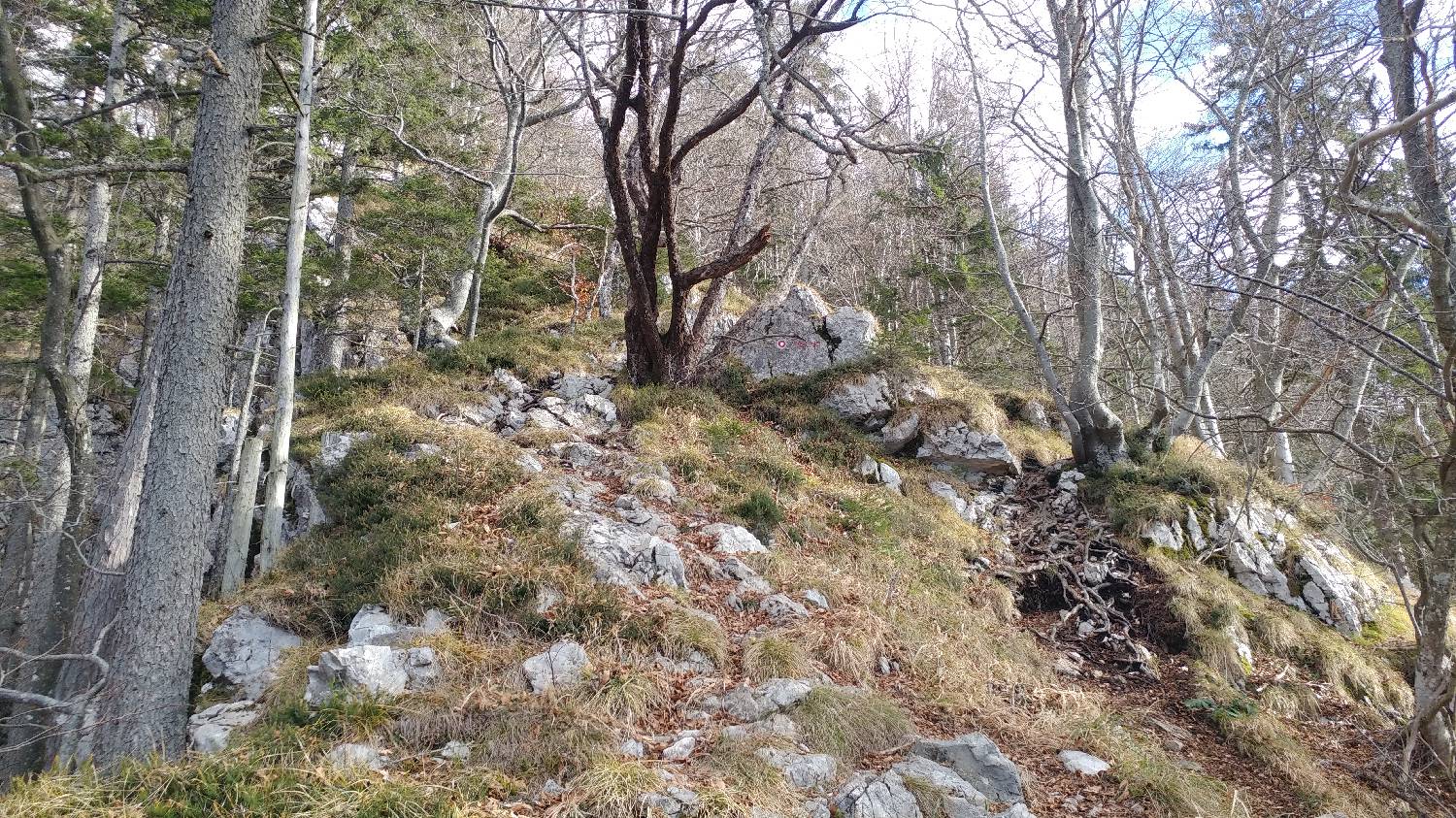 Laško - Planinski dom na Kališču slika 15