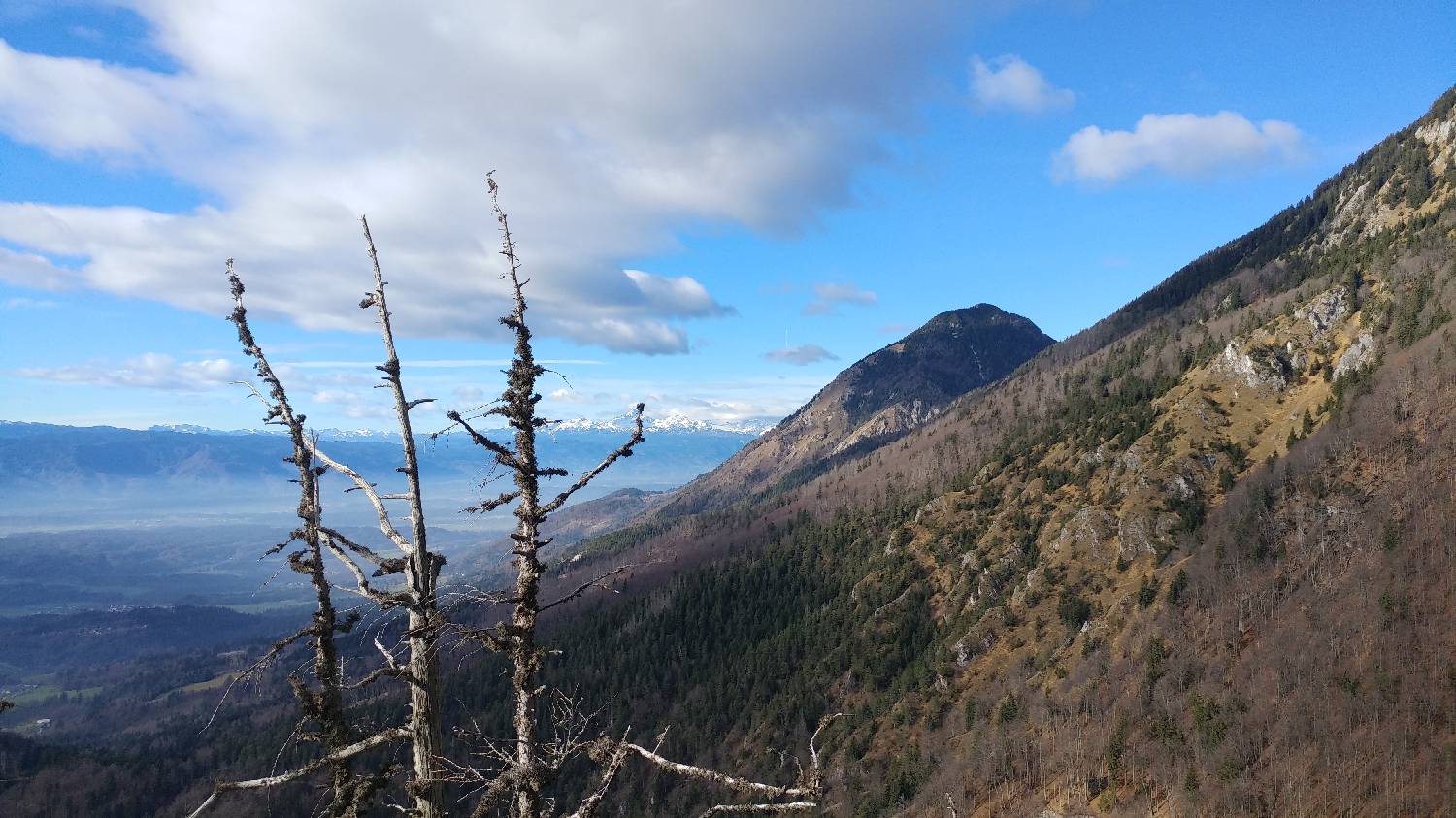 Laško - Planinski dom na Kališču slika 17