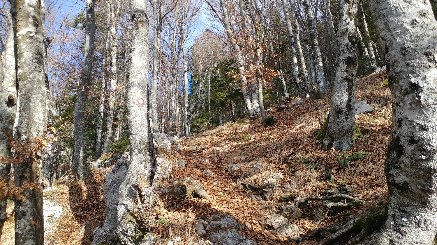 Laško - Planinski dom na Kališču slika 19
