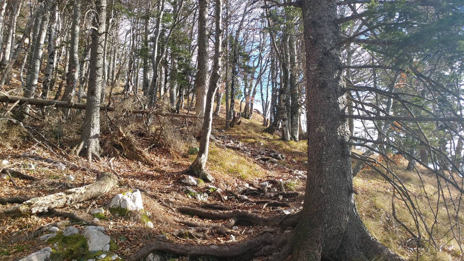 Laško - Planinski dom na Kališču slika 21