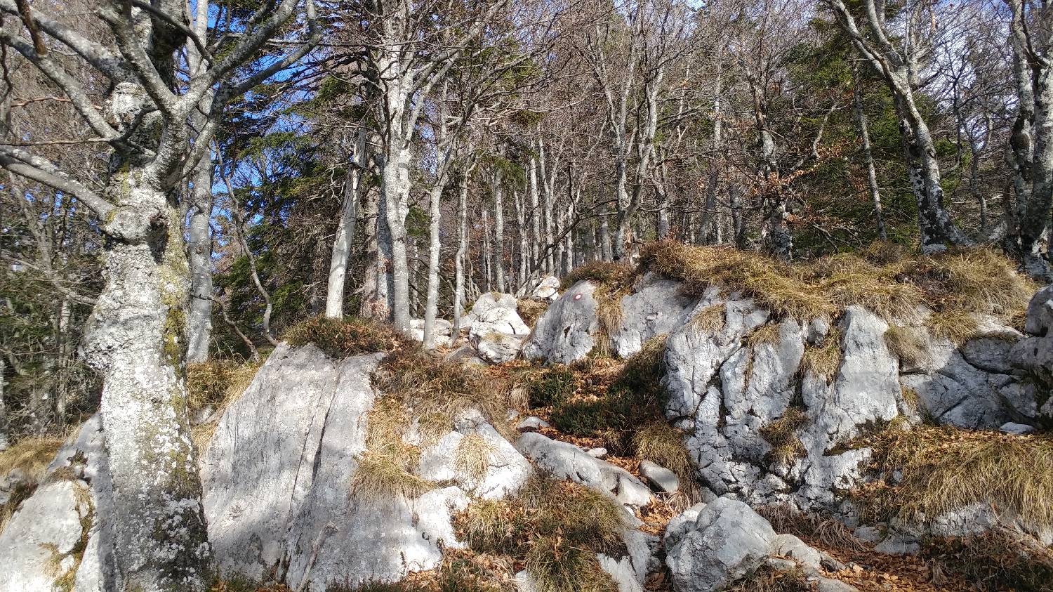 Laško - Planinski dom na Kališču slika 23