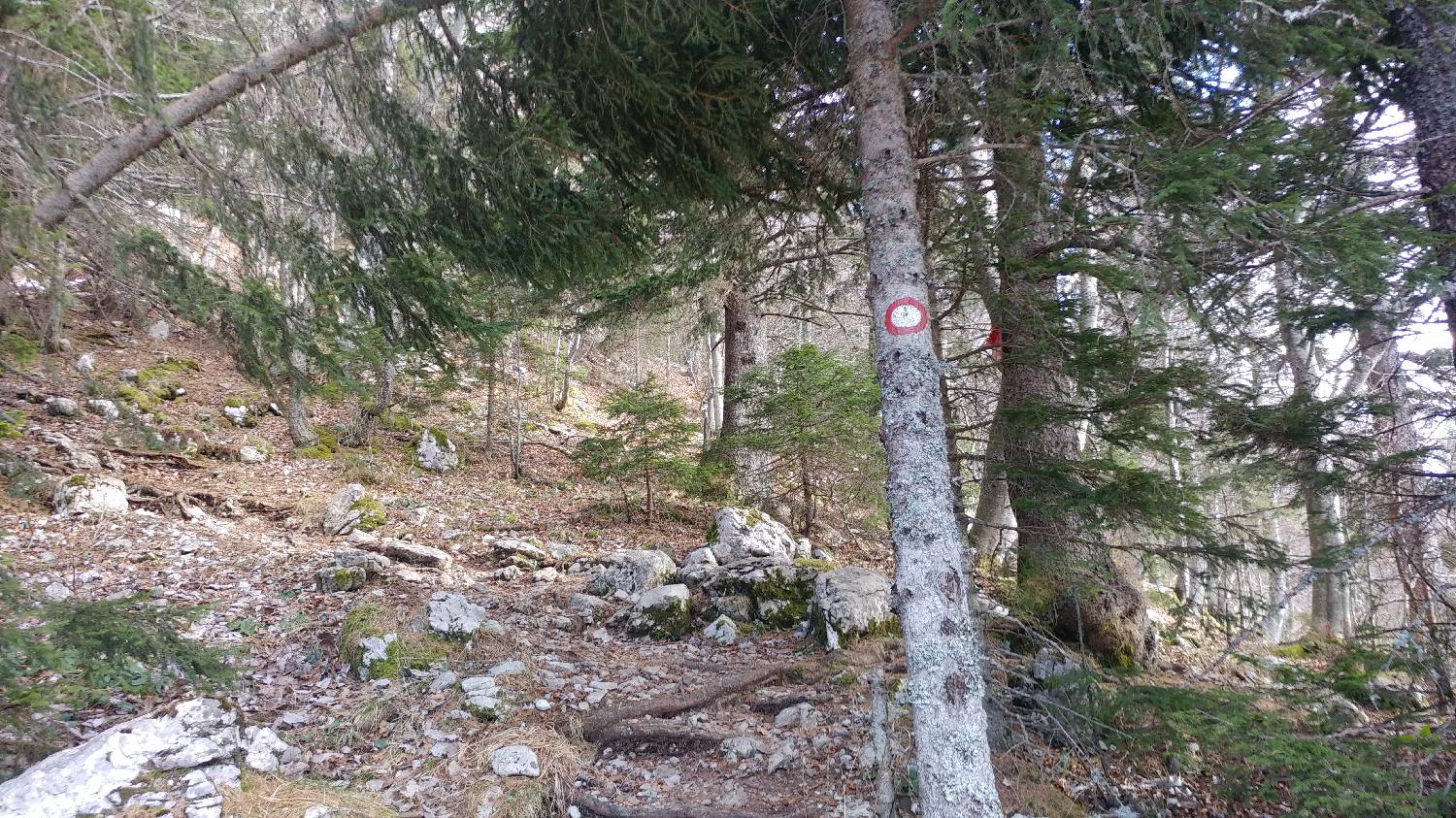 Laško - Planinski dom na Kališču slika 27
