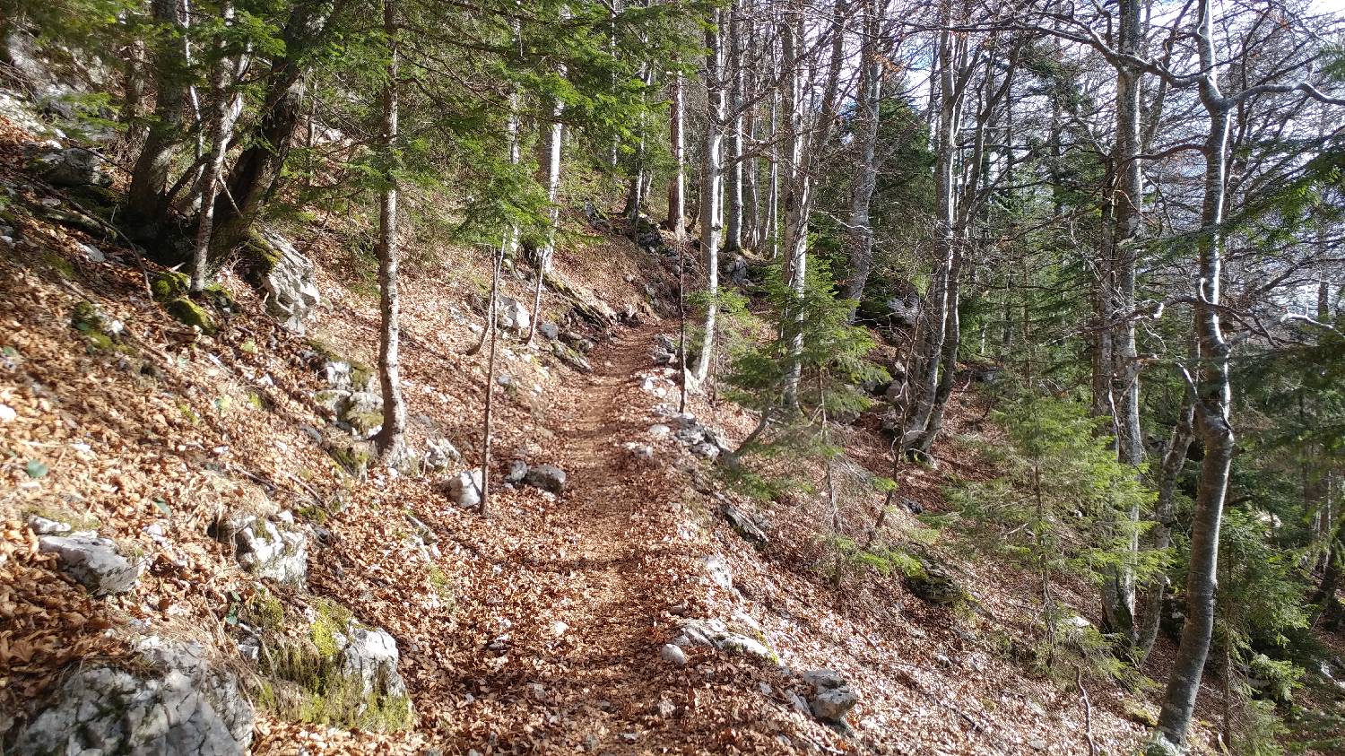 Laško - Planinski dom na Kališču slika 28