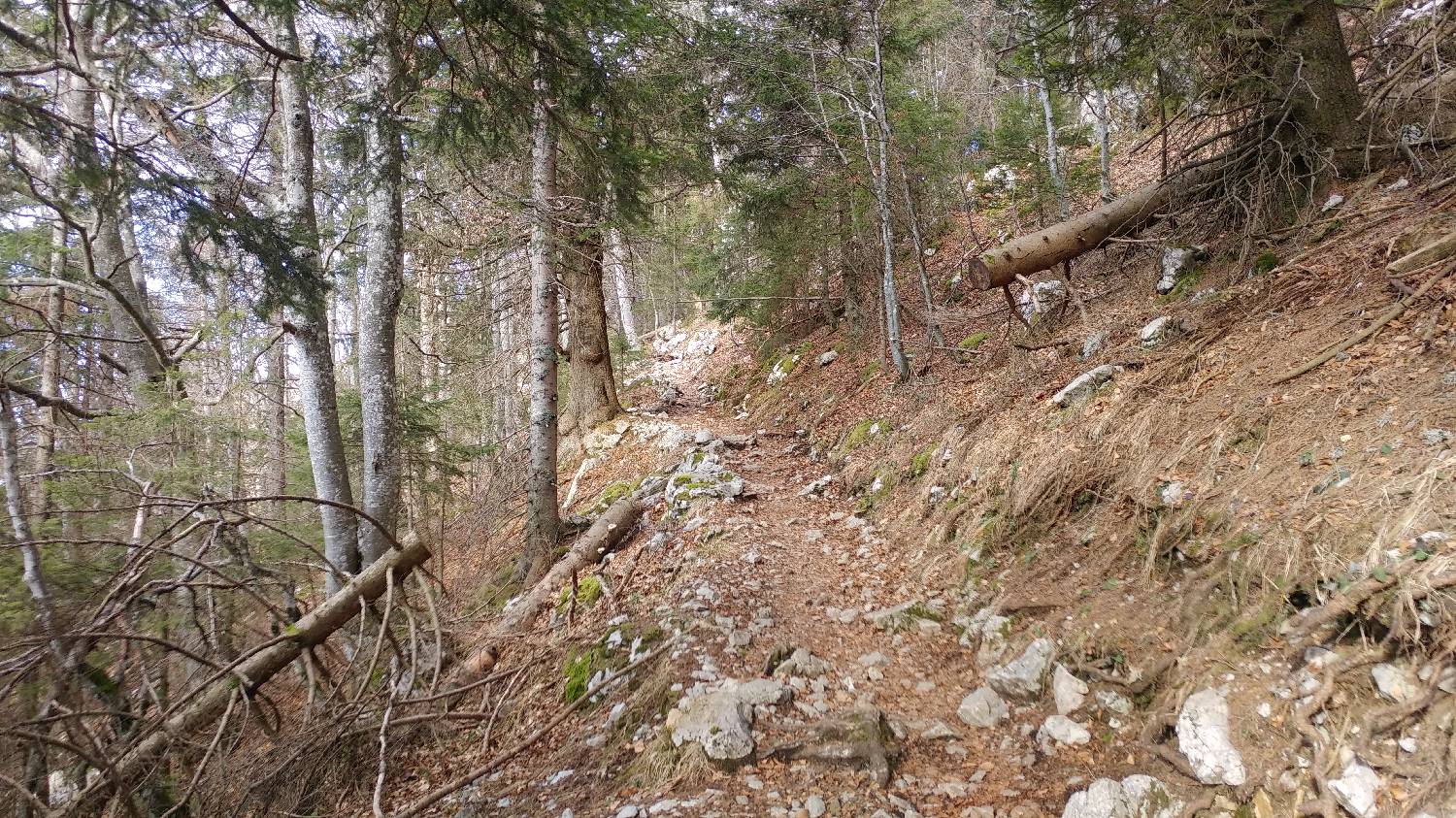 Laško - Planinski dom na Kališču slika 29