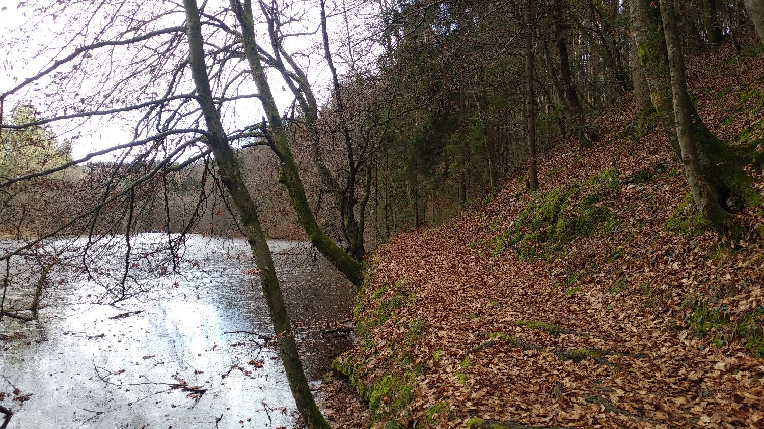 Phliški bajer - Mengeška koča na Gobavici slika 4
