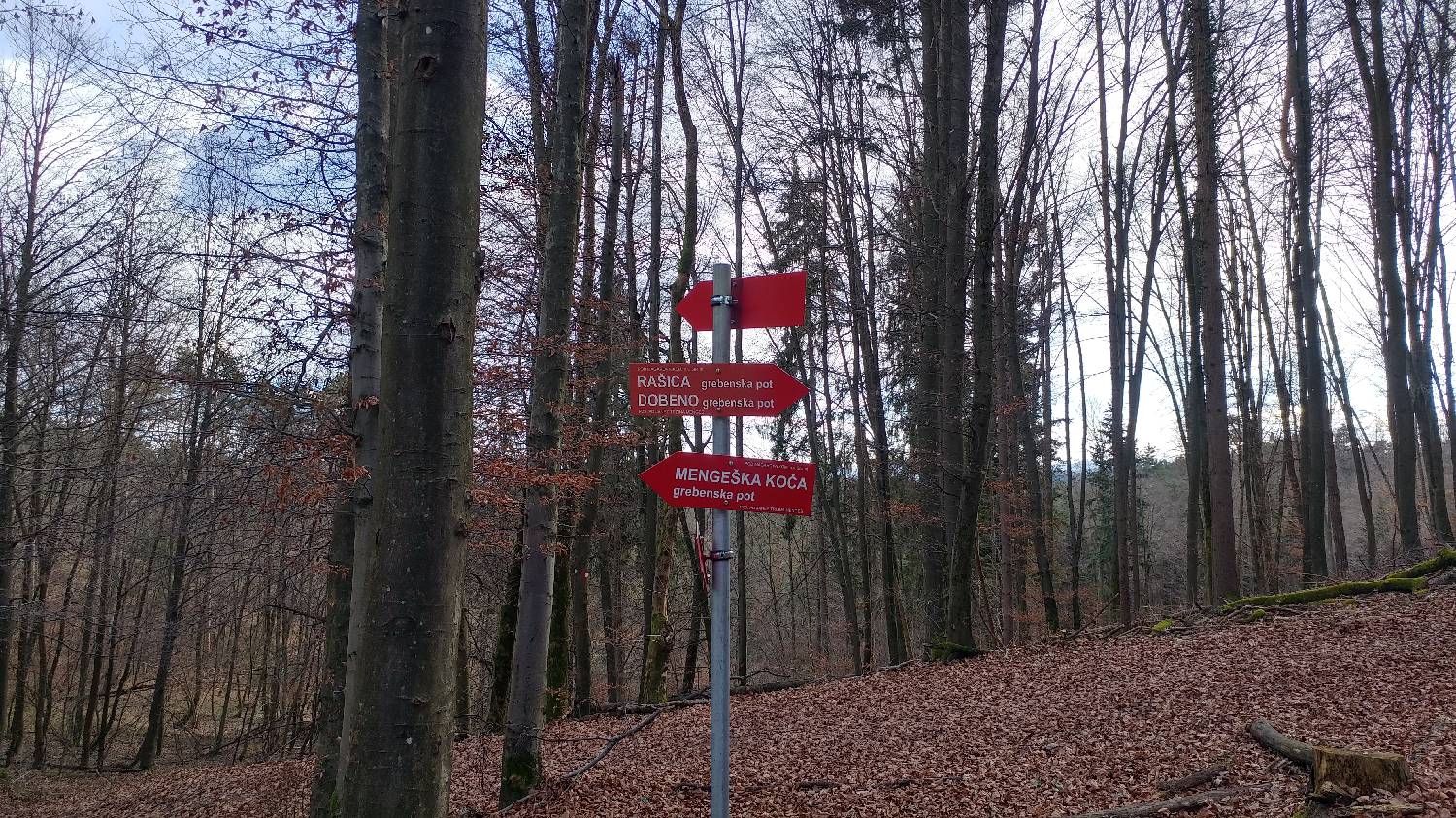Phliški bajer - Mengeška koča na Gobavici slika 11