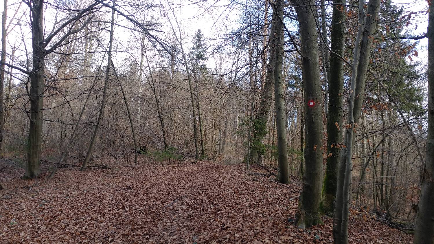 Phliški bajer - Mengeška koča na Gobavici slika 12