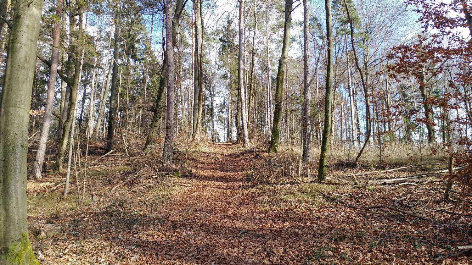 Phliški bajer - Mengeška koča na Gobavici slika 13